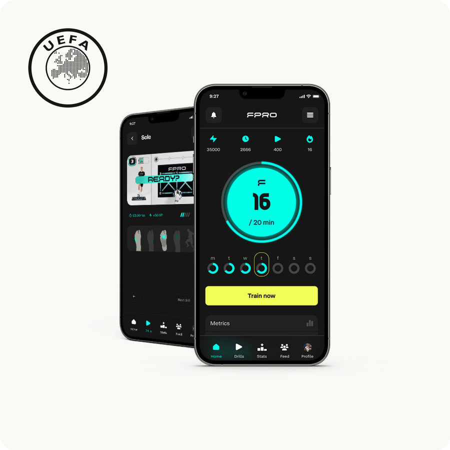 Fpro How it works – FPRO-EU
